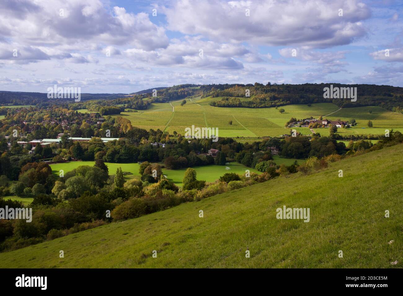 Forest green , dorking hires stock photography and images Alamy
