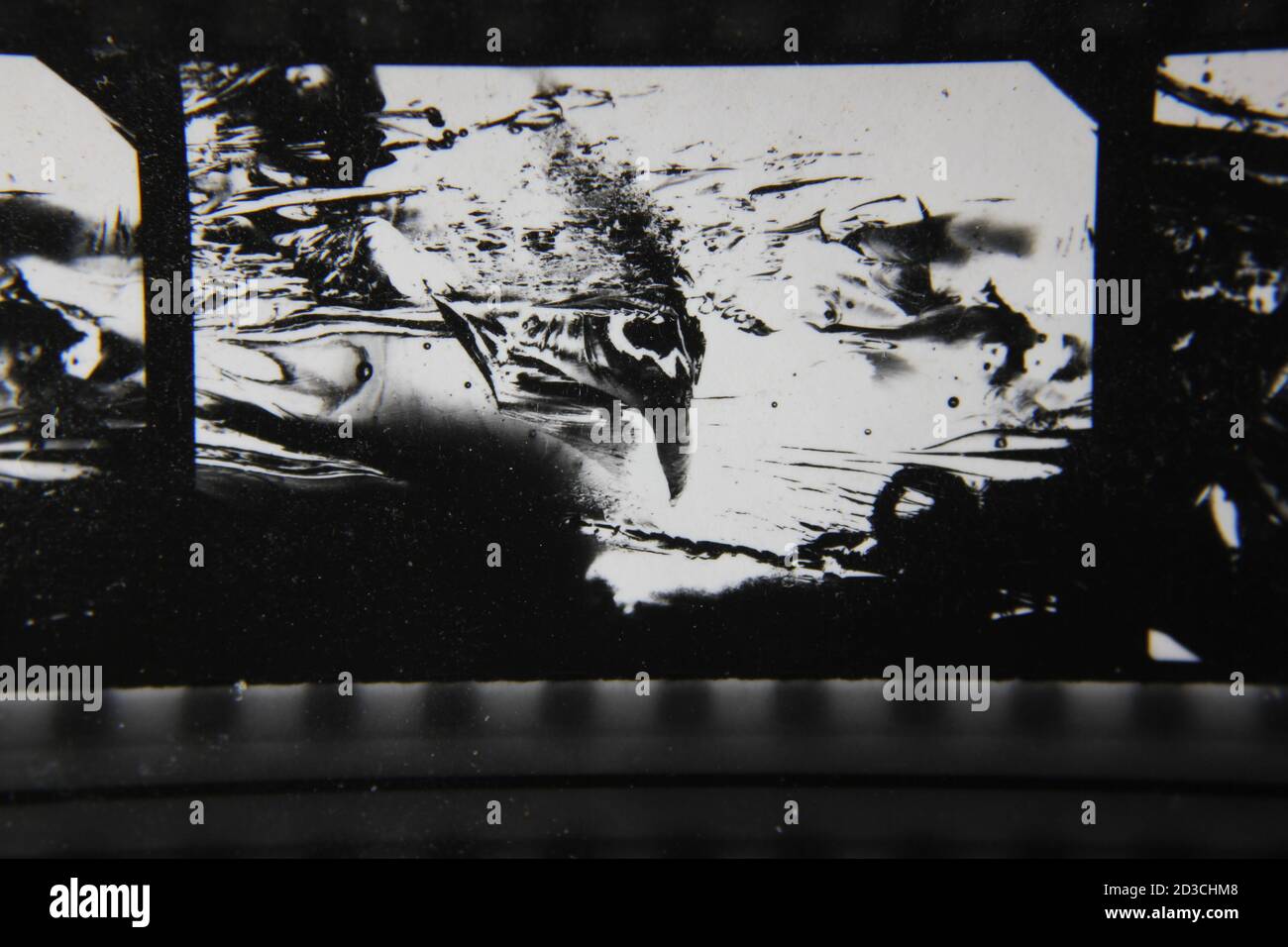 Fine 1970s vintage black and white photography of a dreamy abstract ...