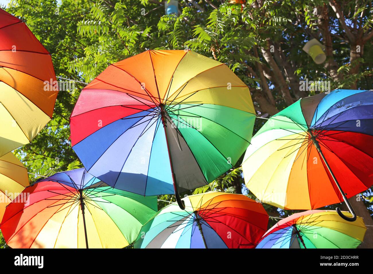 rainbow umbrellas hanging from the ceiling Stock Photo Alamy