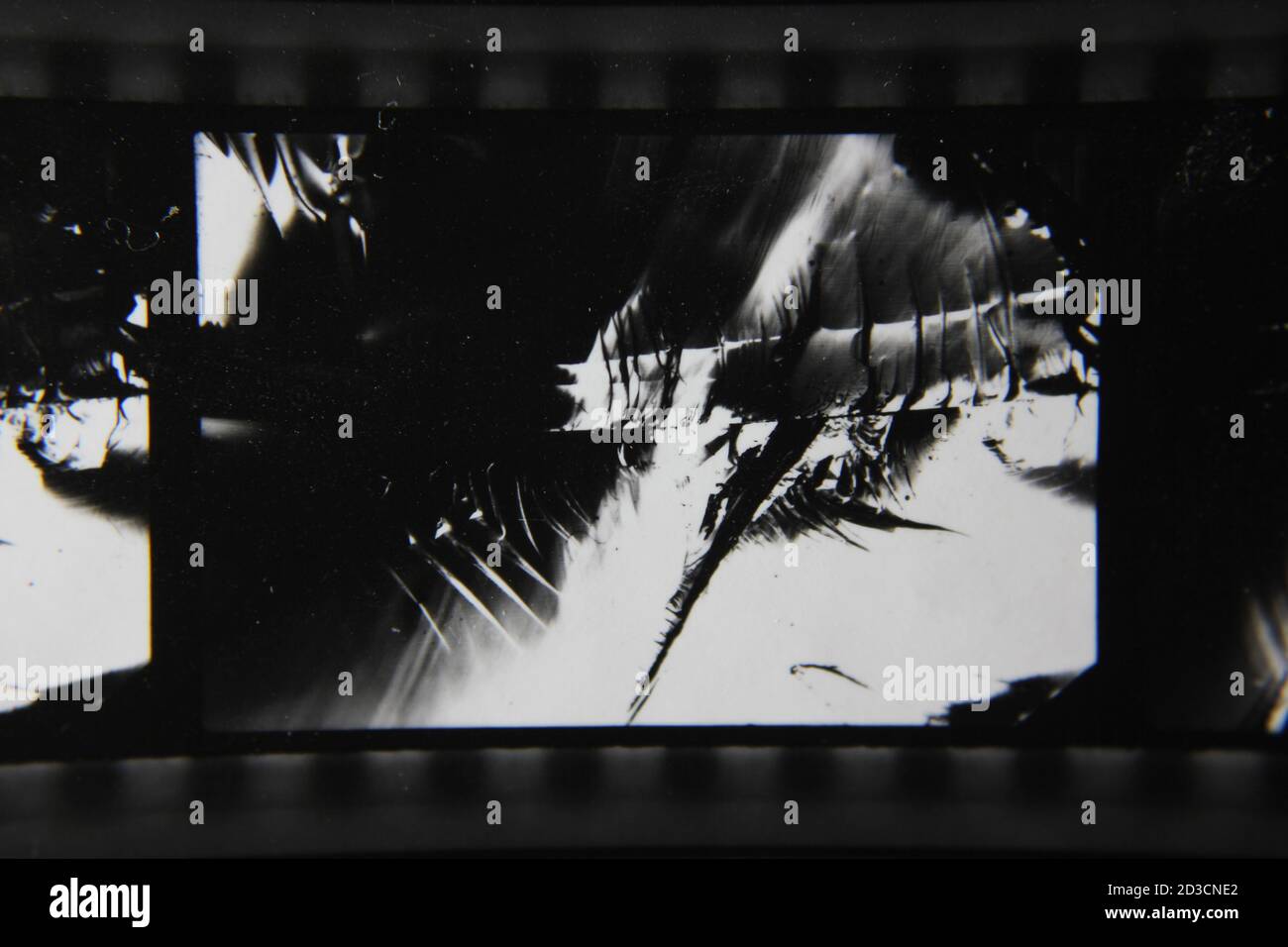 Fine 1970s vintage black and white photography of a dreamy abstract ...