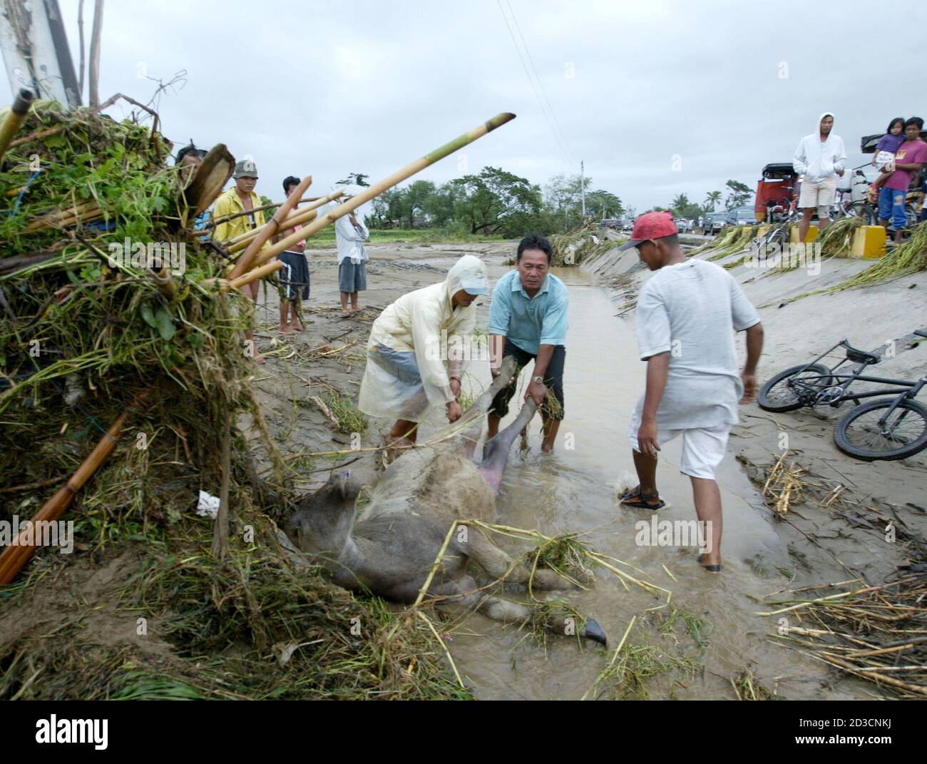 Drowned corpse hires stock photography and images Alamy