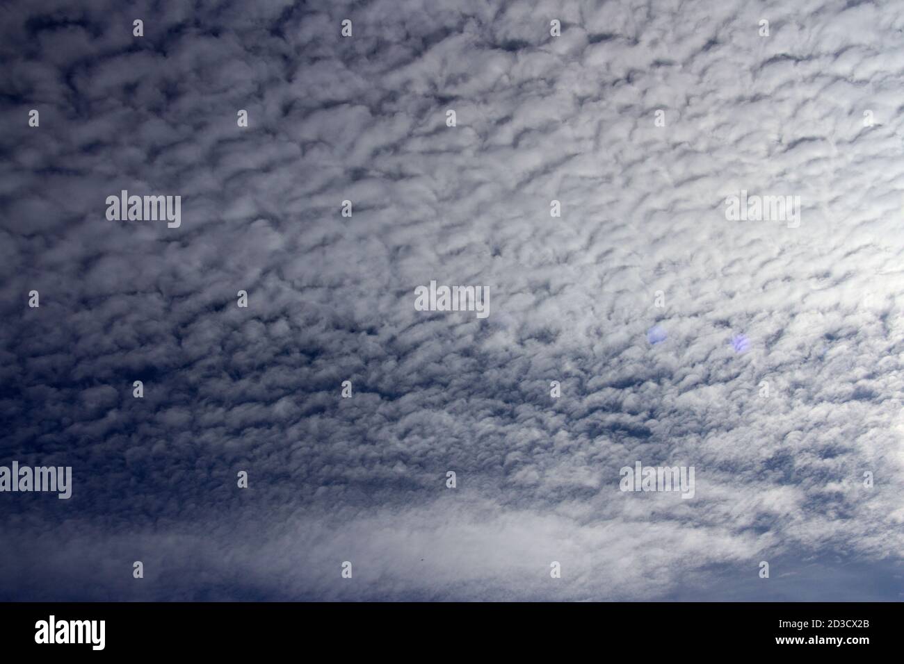 Altocumulus clouds form in the mid-levels of the troposphere and though each cloudlet is separate they can form extensive layers covering a large area Stock Photo