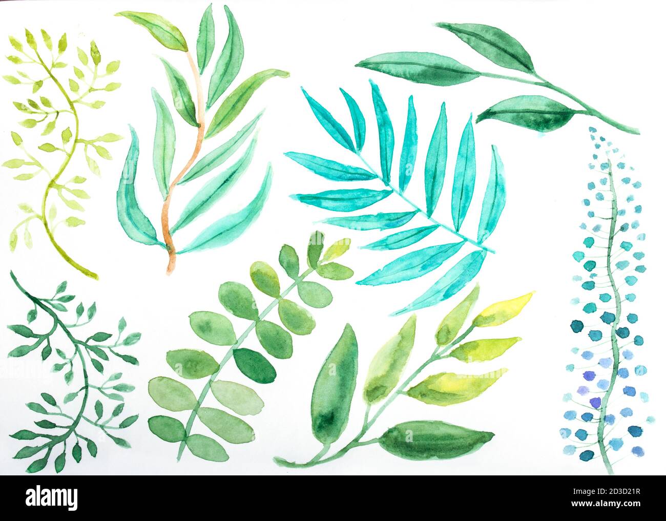 Hand drawn watercolor floral elements set. isolated on white. Design ...