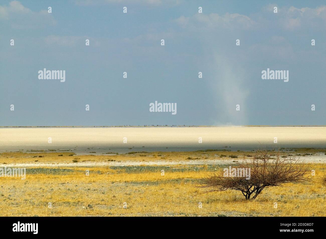 View across the Makadikadi Salt Pans in Botswana. Stock Photo