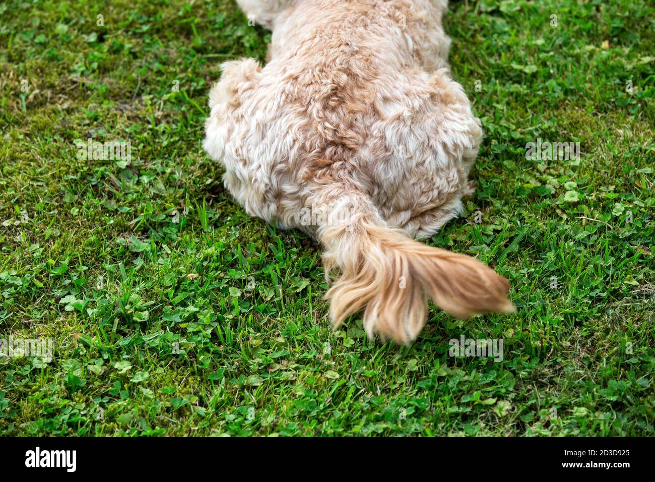 High rear end hi-res stock photography and images - Alamy
