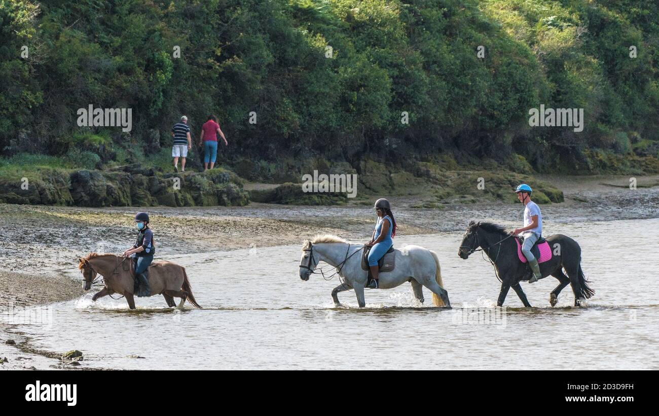 Horse crossing river hires stock photography and images Alamy