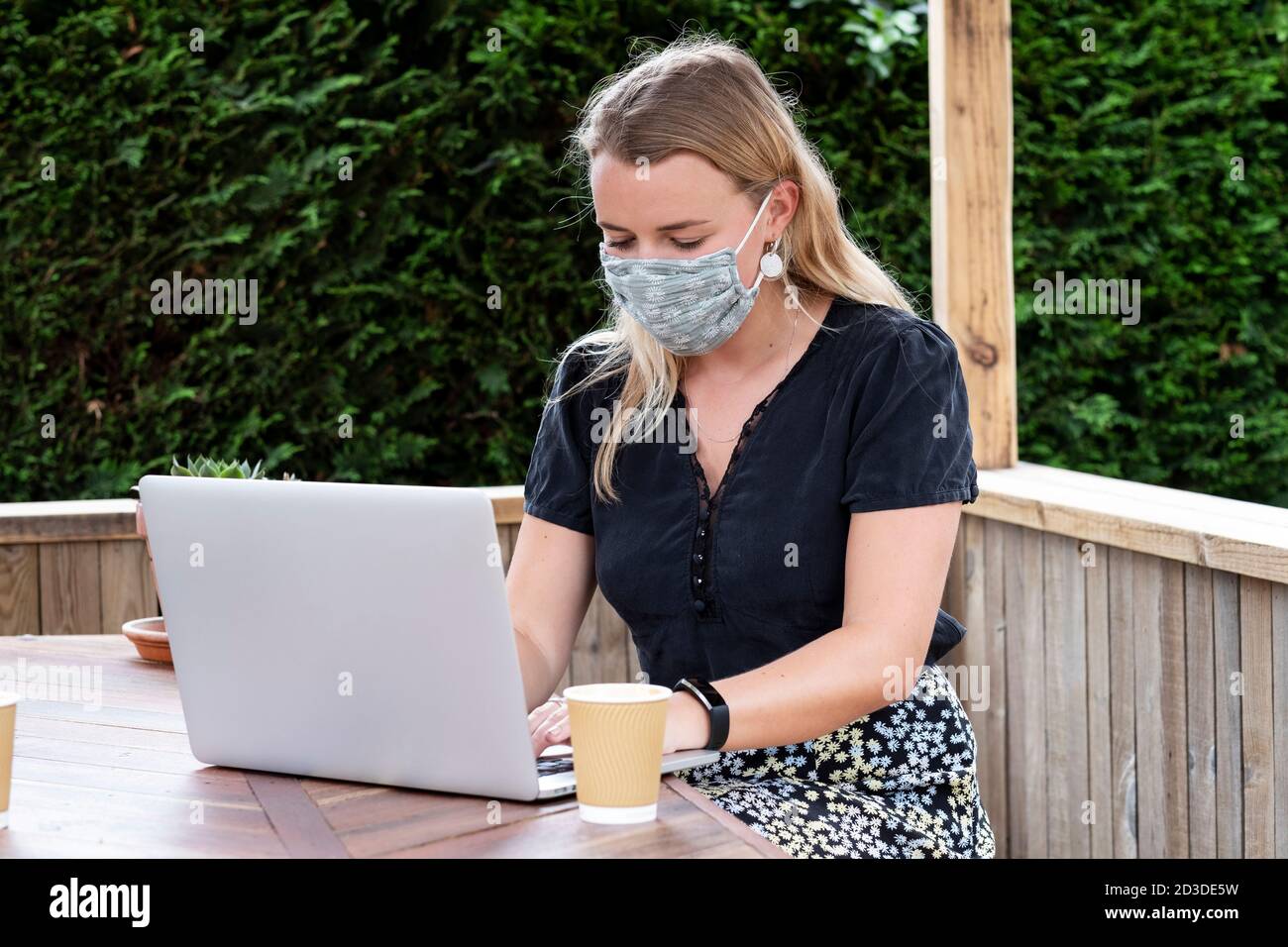 Young blond woman wearing blue face mask, sitting at table, using laptop computer. Stock Photo