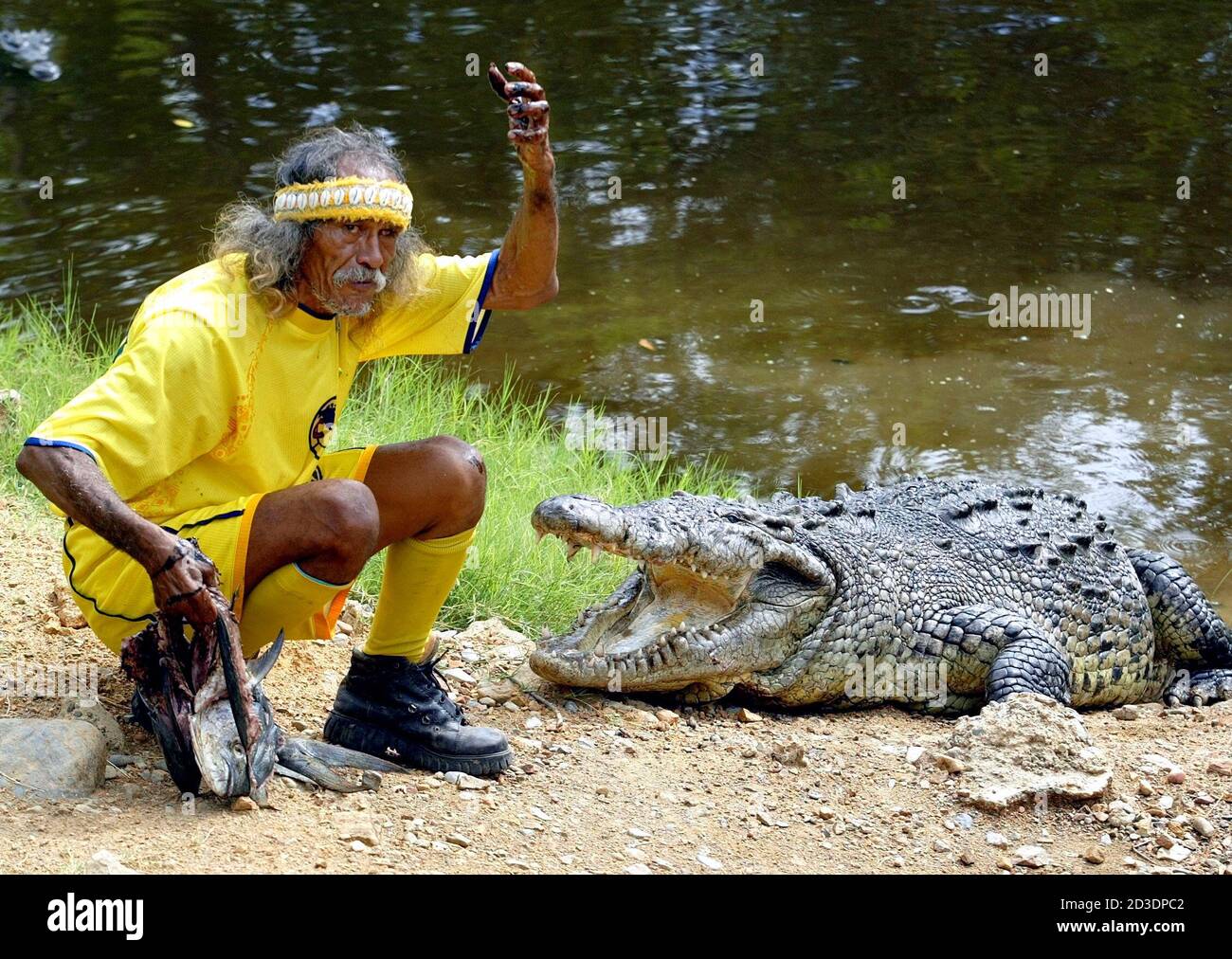PHOTO TAKEN 01AUG03- Mexican crocodile trainer Tamacun feeds a crocodile  during a show in the tourist resort of Playa Linda Ixtapa in the Mexican  State of Guerrero, August 1, 2003. Tamacun regularly