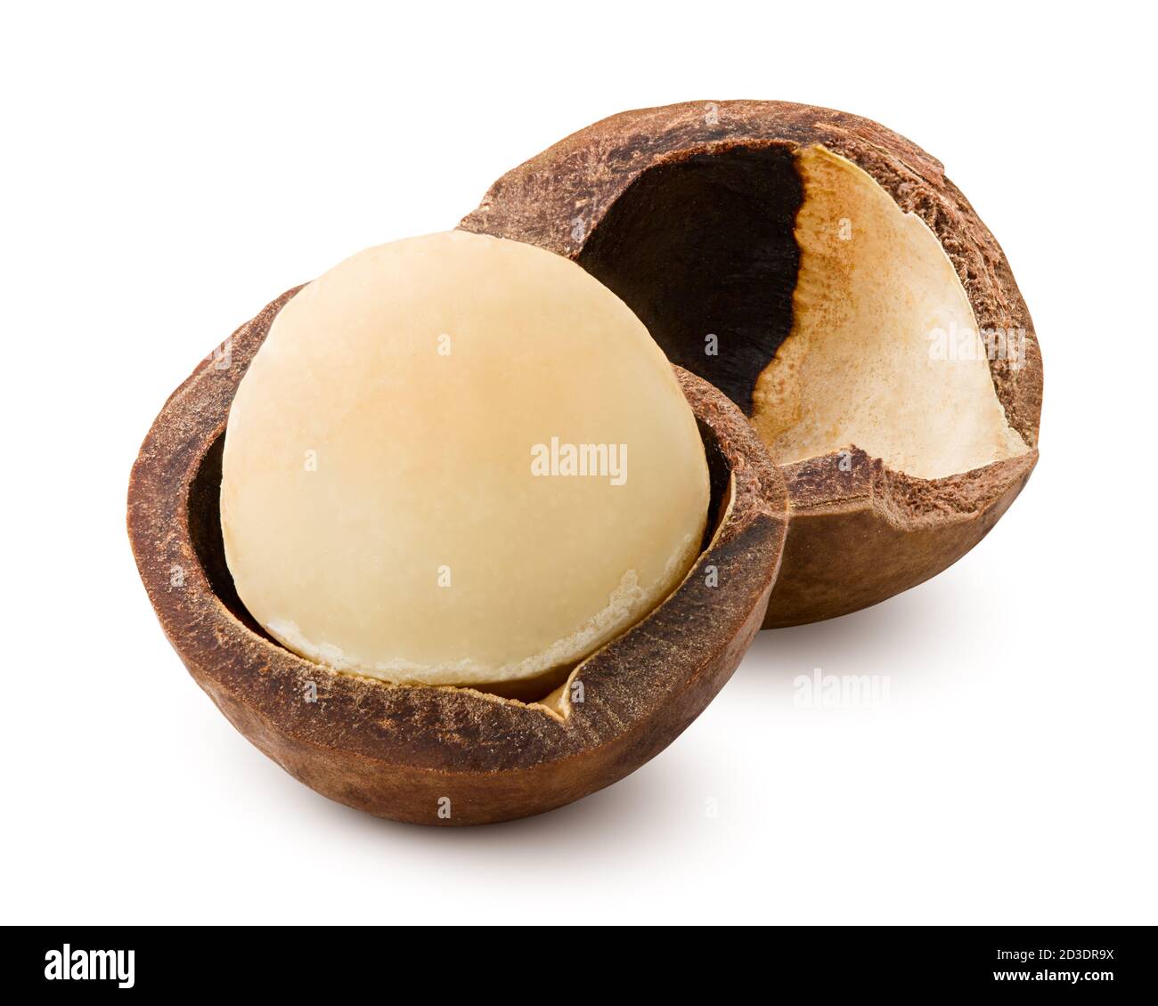 macadamia, nut, isolated on white background, clipping path, full depth of field Stock Photo