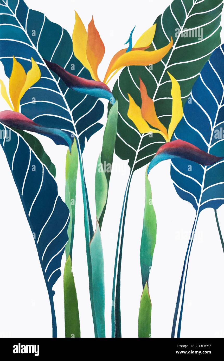 Strelitzia reginae flower (Bird of paradise flower) painting on canvas  Stock Photo - Alamy