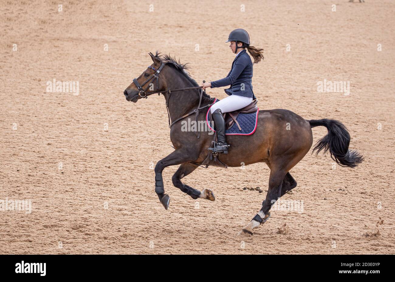 A showjumping horse preparing itself to jump over a hurdle with a young