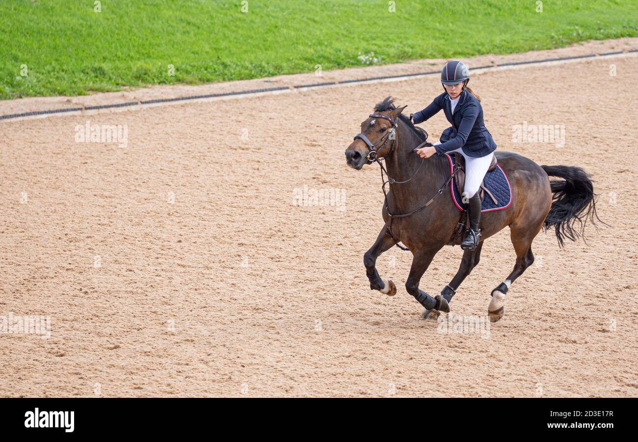 Rider riding dapple gray horse in round arena stock photo