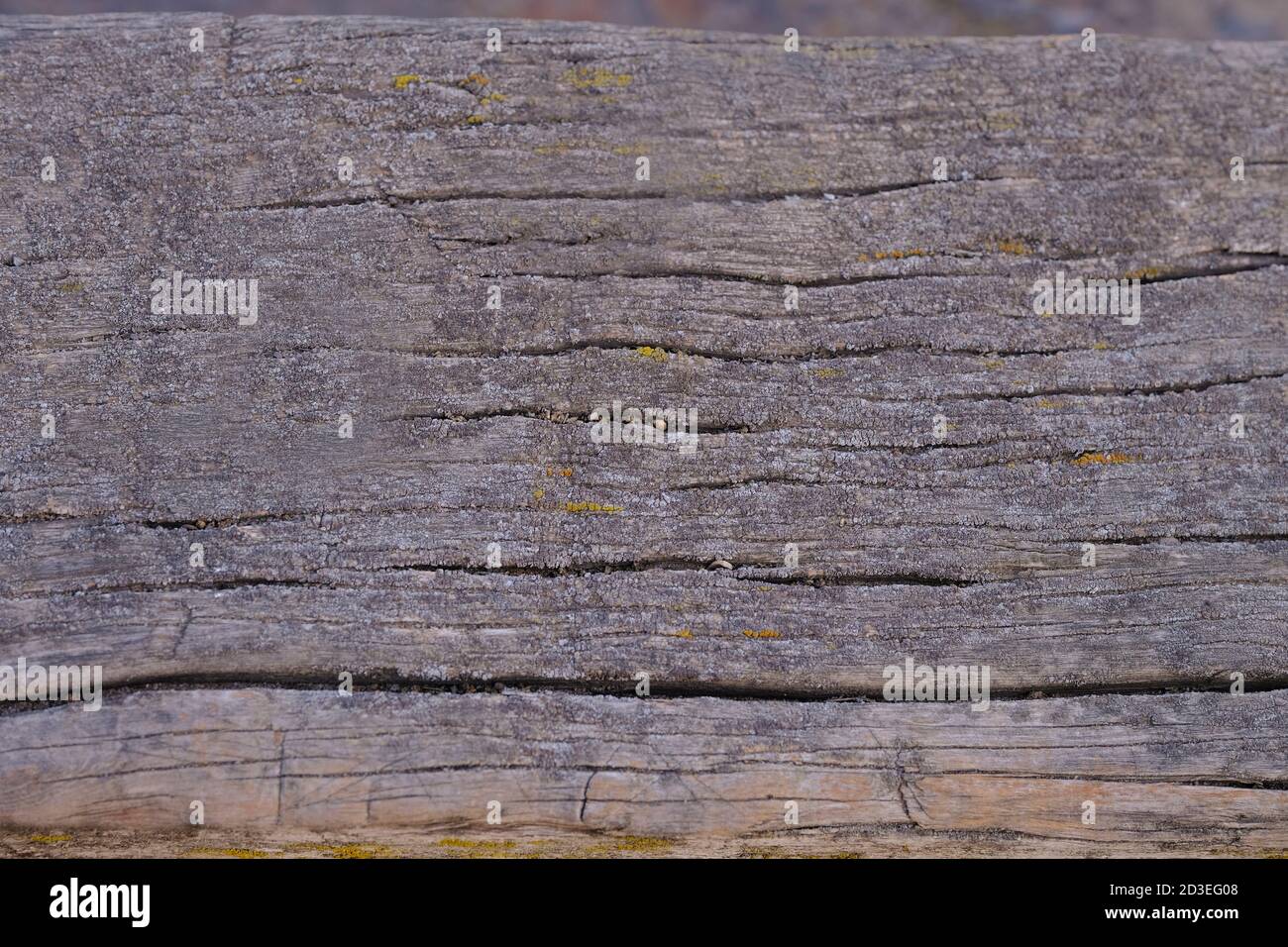 natural texture of old timber, old wood. Close-up Stock Photo