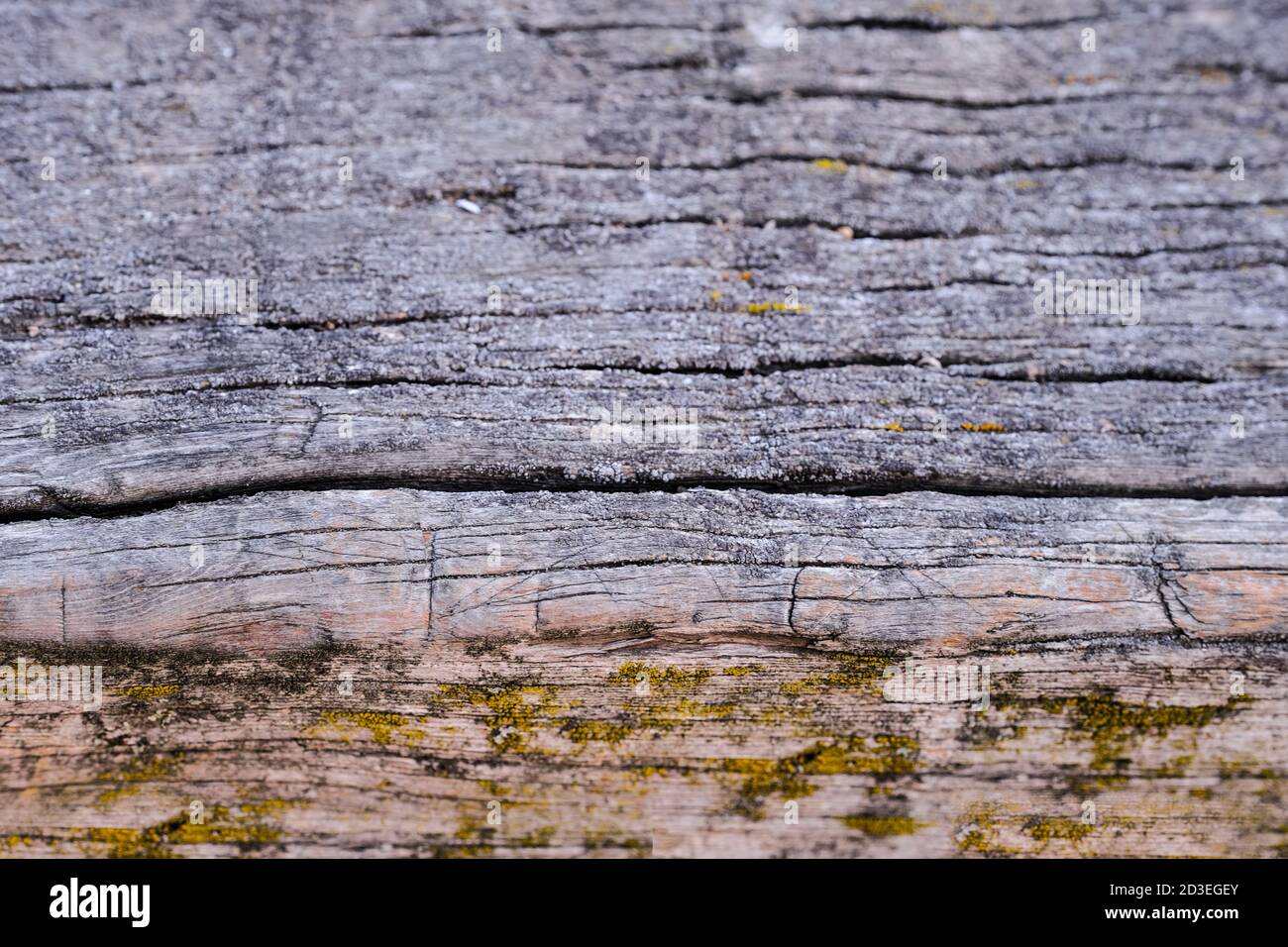 natural texture of old timber, old wood. Close-up Stock Photo
