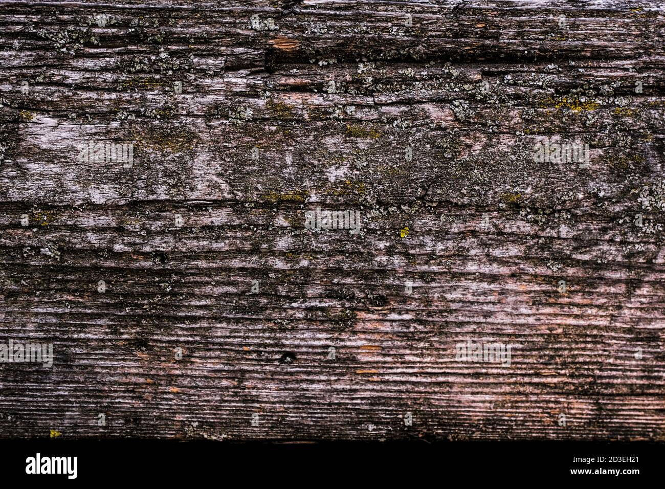 natural texture of old timber, old wood. Close-up Stock Photo