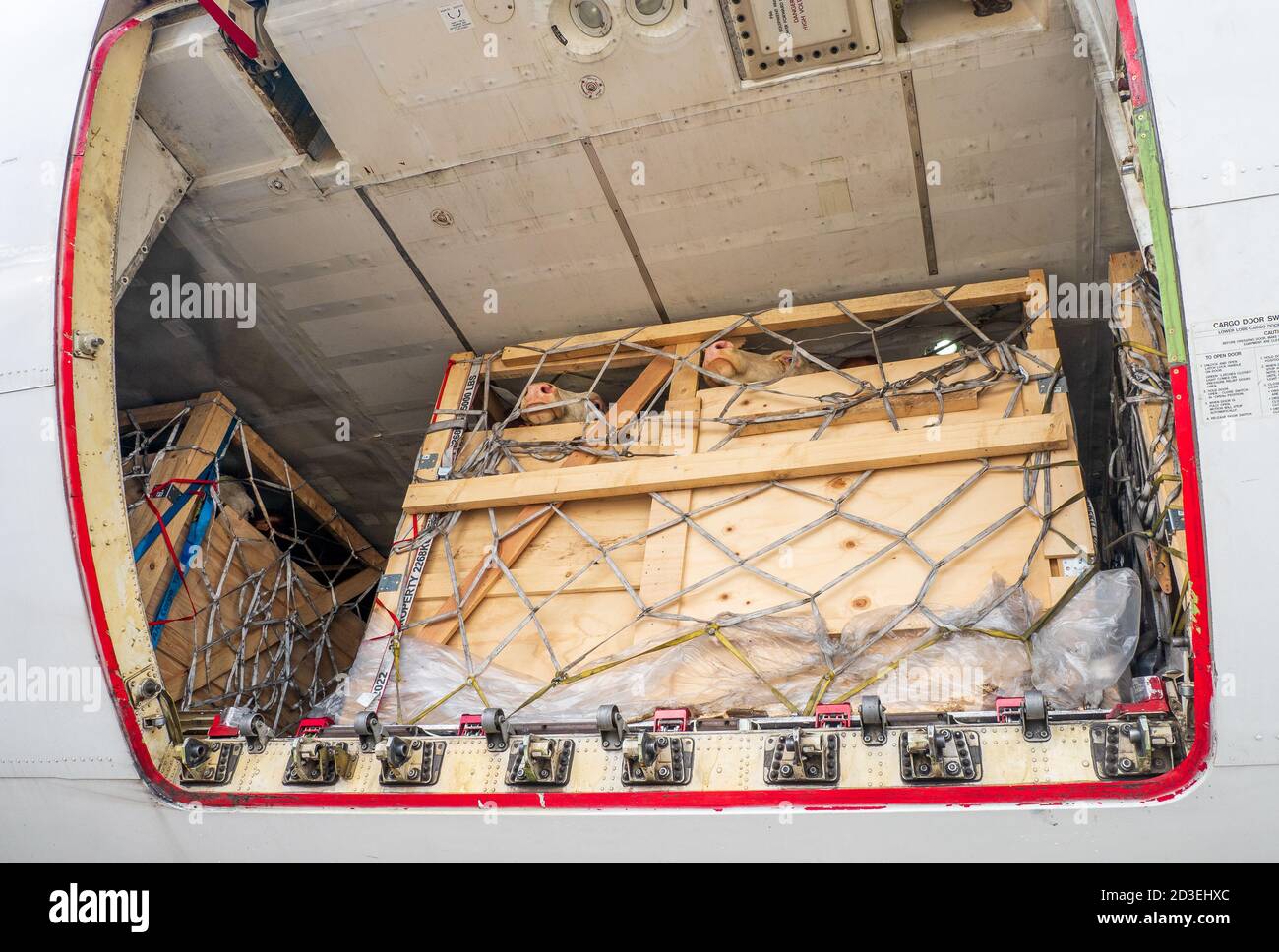 Cargo Hold Airplane High Resolution Stock Photography and Images Alamy
