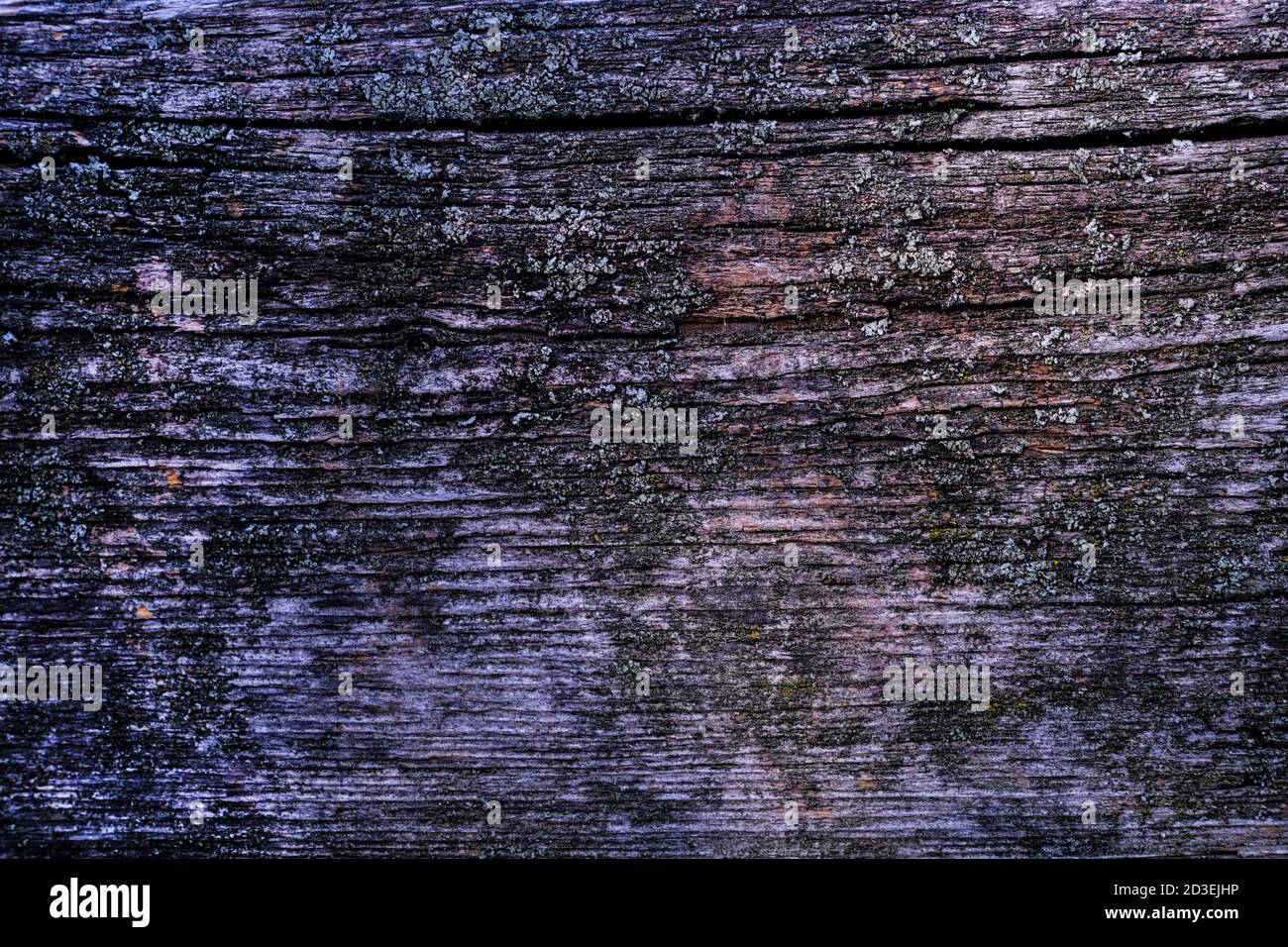 natural texture of old timber, old wood. Close-up Stock Photo