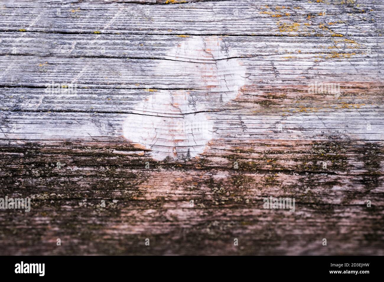 natural texture of old timber, old wood. Close-up Stock Photo