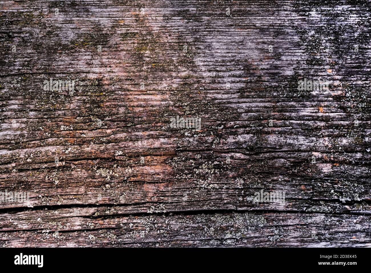 natural texture of old timber, old wood. Close-up Stock Photo