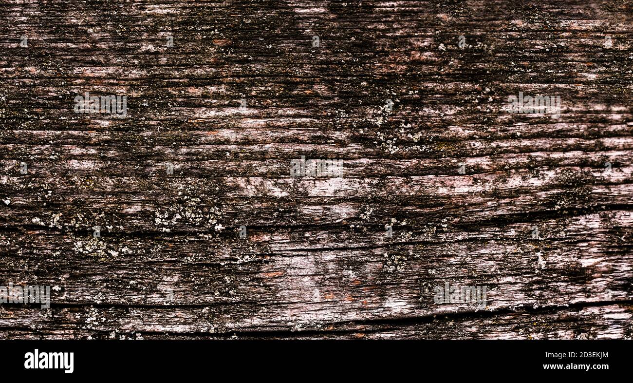 natural texture of old timber, old wood. Close-up Stock Photo