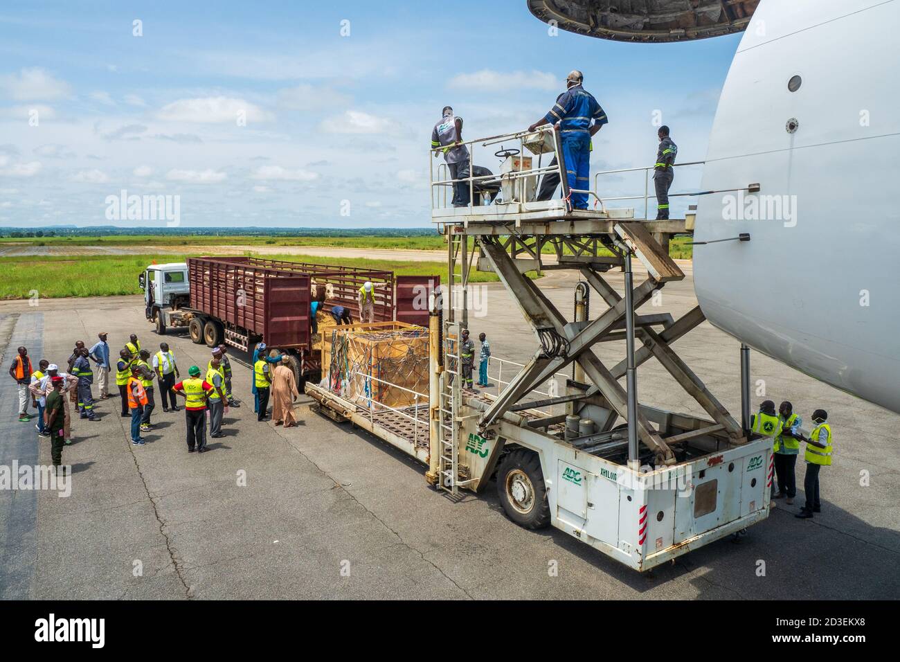 Livestock in wooden boxes secured by nettings being offloaded by a high-loader from a Jumbo Jet with a wide open cargo door at the front of the plane Stock Photo