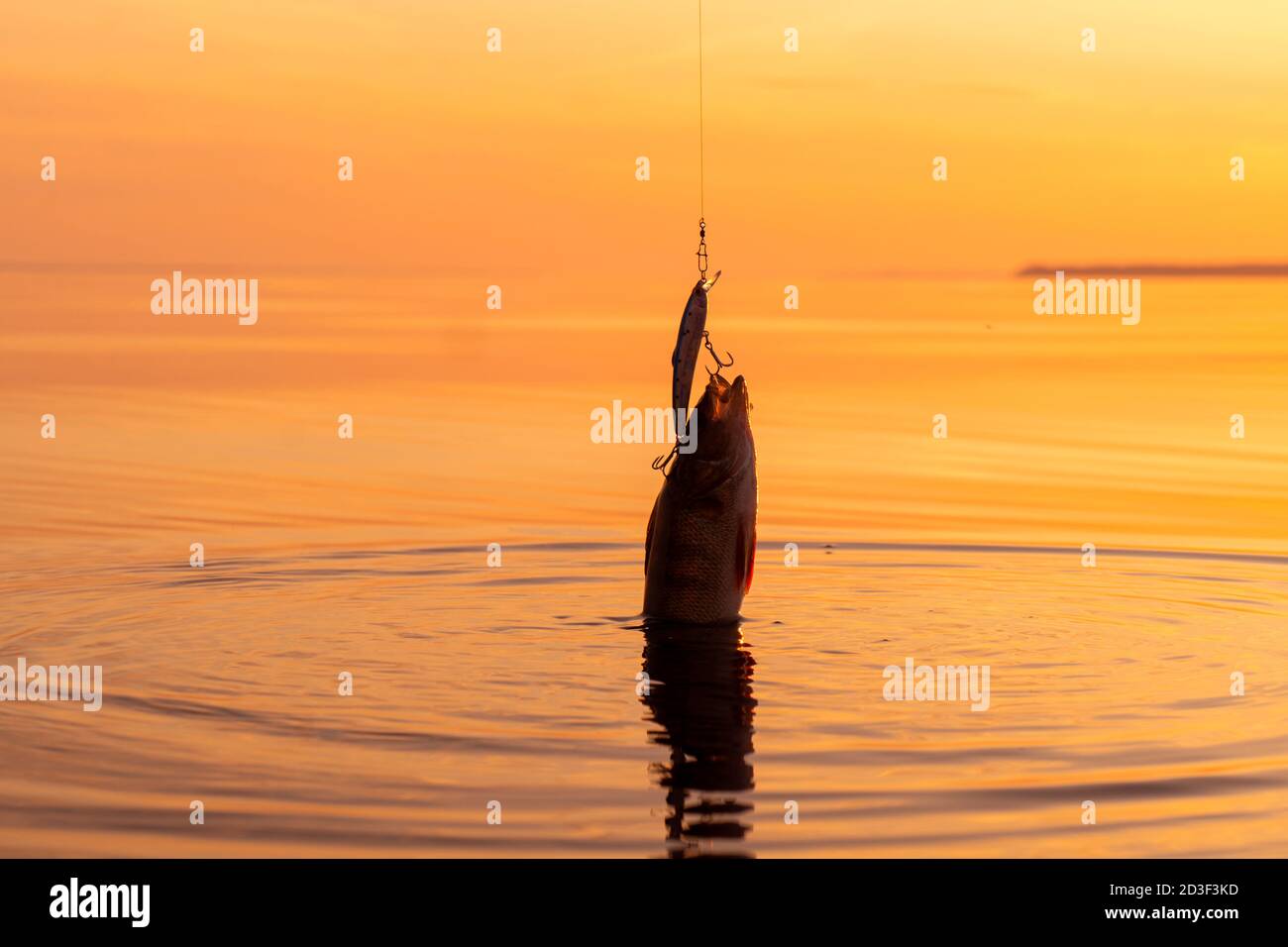 angler fishing tackle