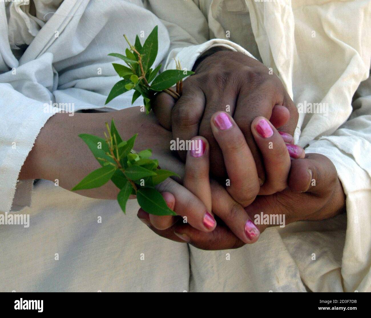 An Iraqi Mandean couple hold hands, and twigs from the yannis tree, after their marriage on the Tigris river in Baghdad June 8, 2003. Iraqi devotees of an obscure religion who take John the Baptist as their central figure perform virginity tests on their brides and take a dip in the murky Tigris river every Sunday to purify the soul. Most of the world's 20,000 or so Mandeans live in southern Iraq and southwestern Iran. Stock Photo