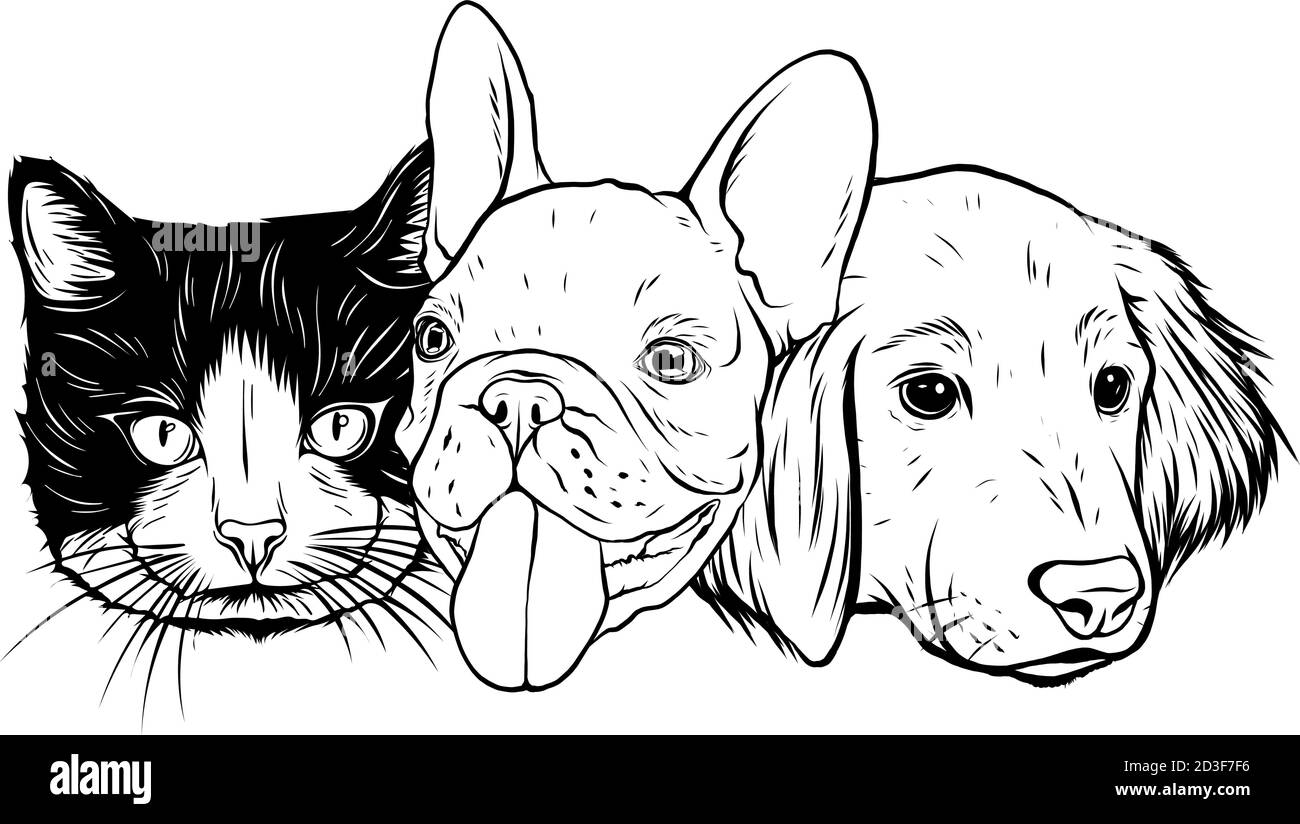 Cat and Dog characters. Best friend forever, vector illustration Stock