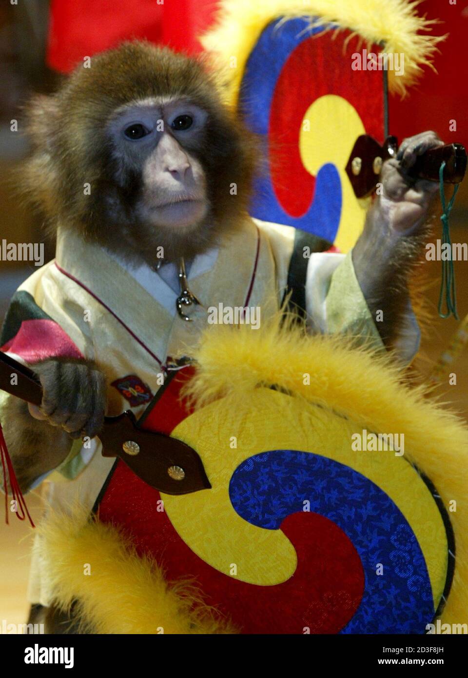 monkey dance costume