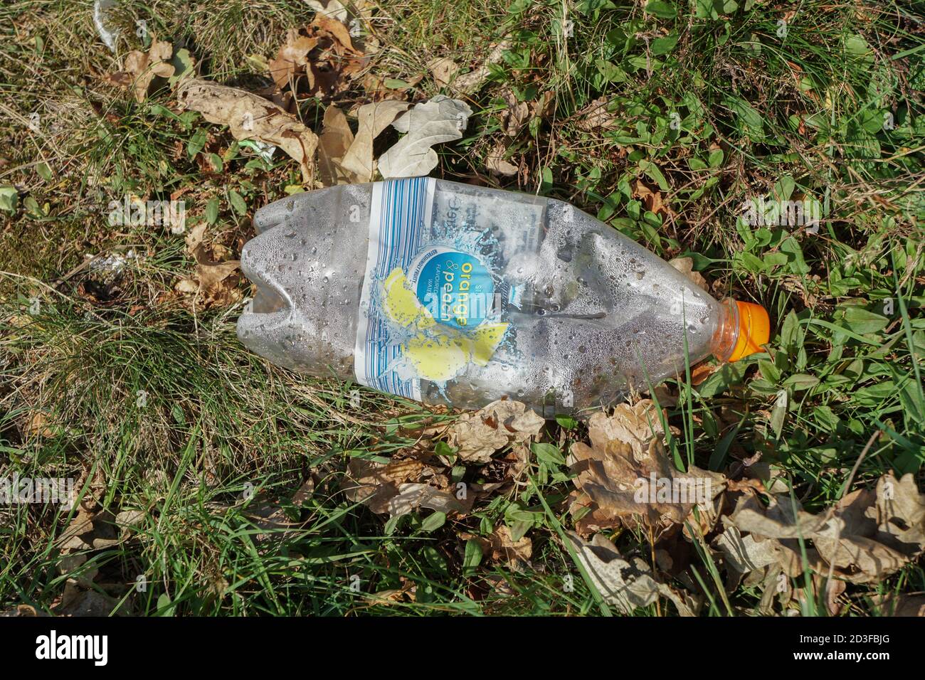 Discarde plastic drinks bottle on grass verge. England. UK Stock Photo