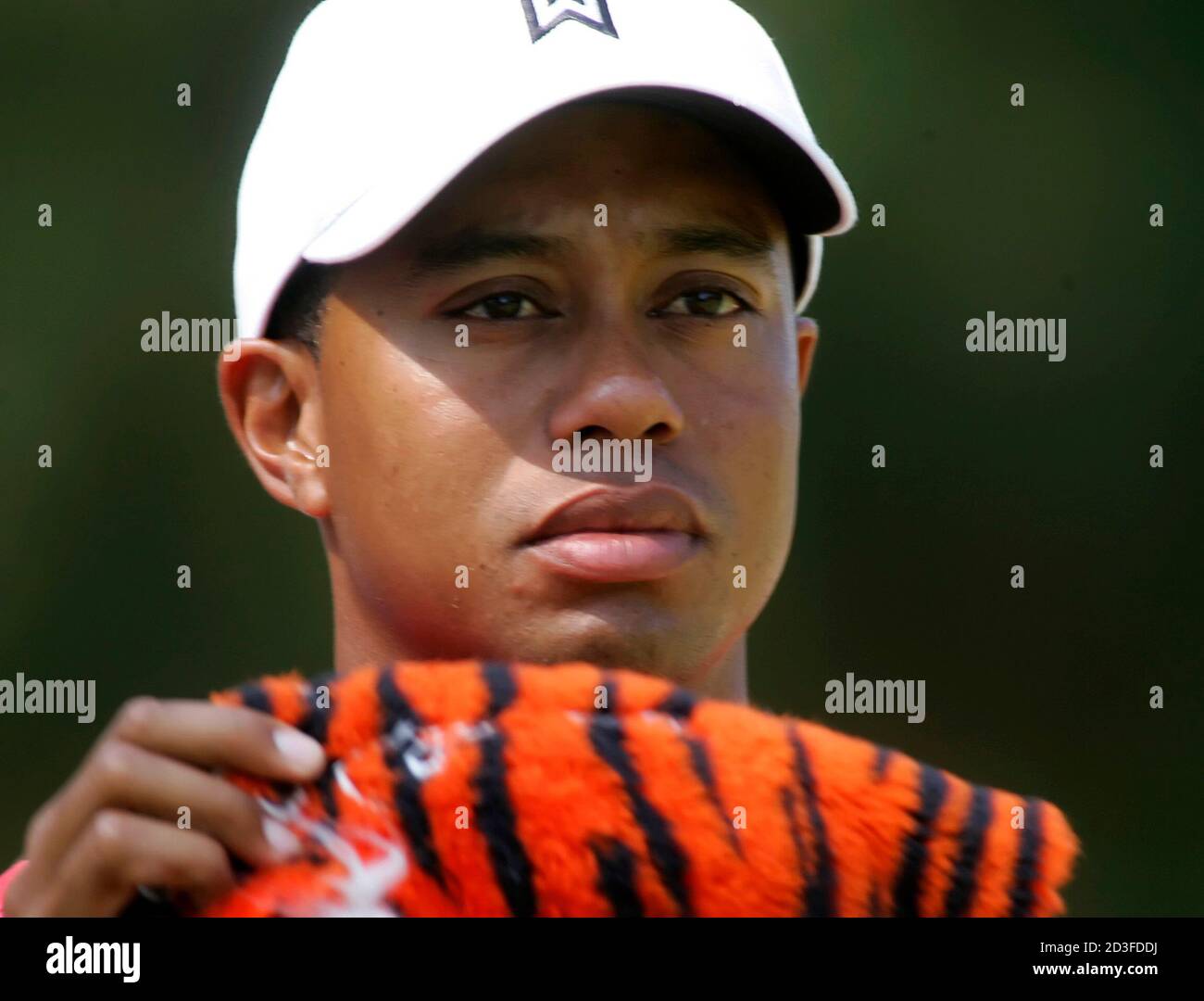 tiger headcover hat