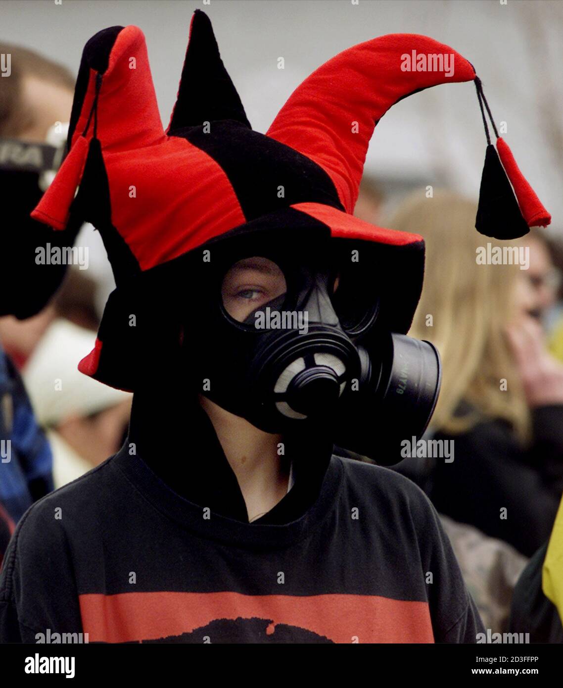 jester hat