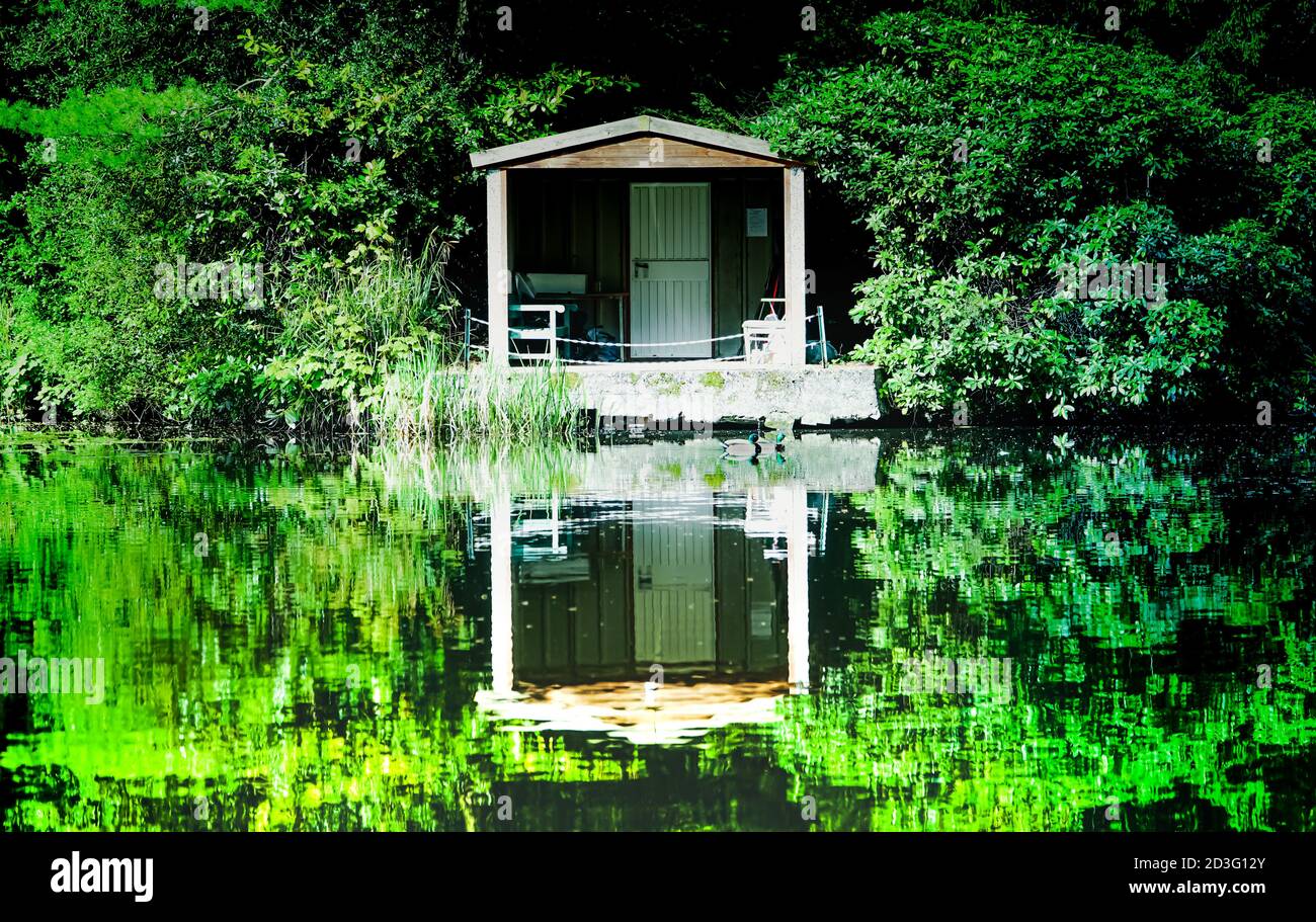 House on the Pond Stock Photo
