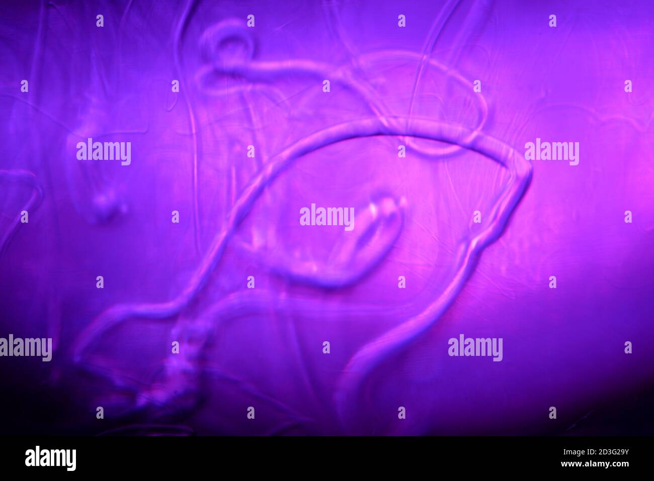 scientific photograph of parasites in human blood plasma under a microscope in a laboratory. soap solution in water. Stock Photo