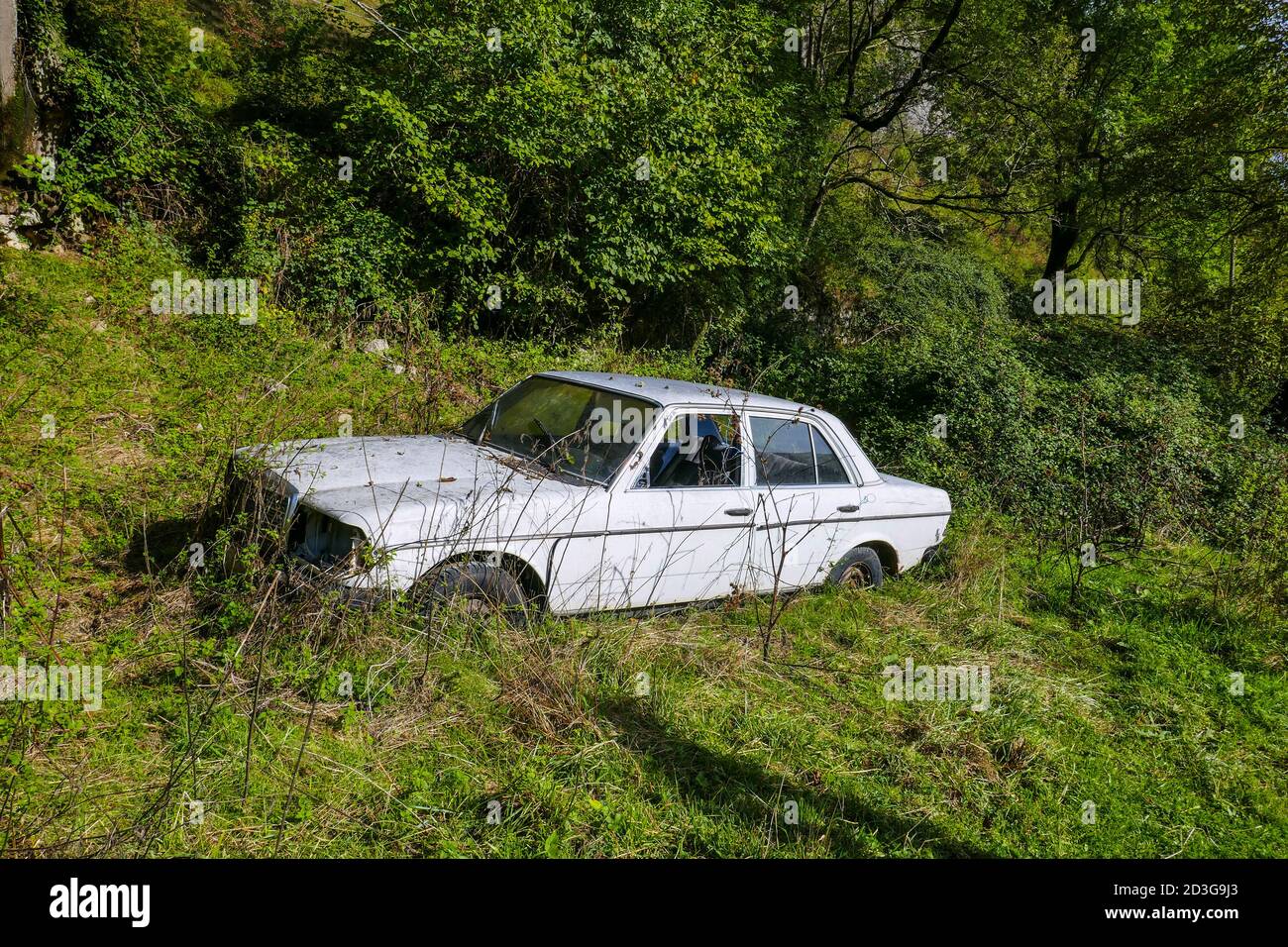 Old, abandoned white Mercedes Benz car surrounded by grass, near the village of Genat, Tarascon sur Ariege, Ariege, France Stock Photo
