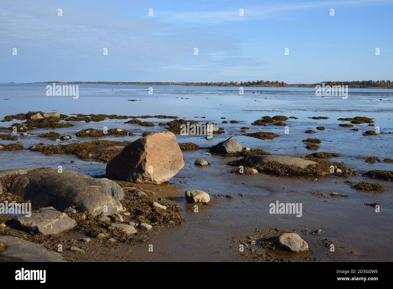 Littoral Zone High Resolution Stock Photography And Images Alamy