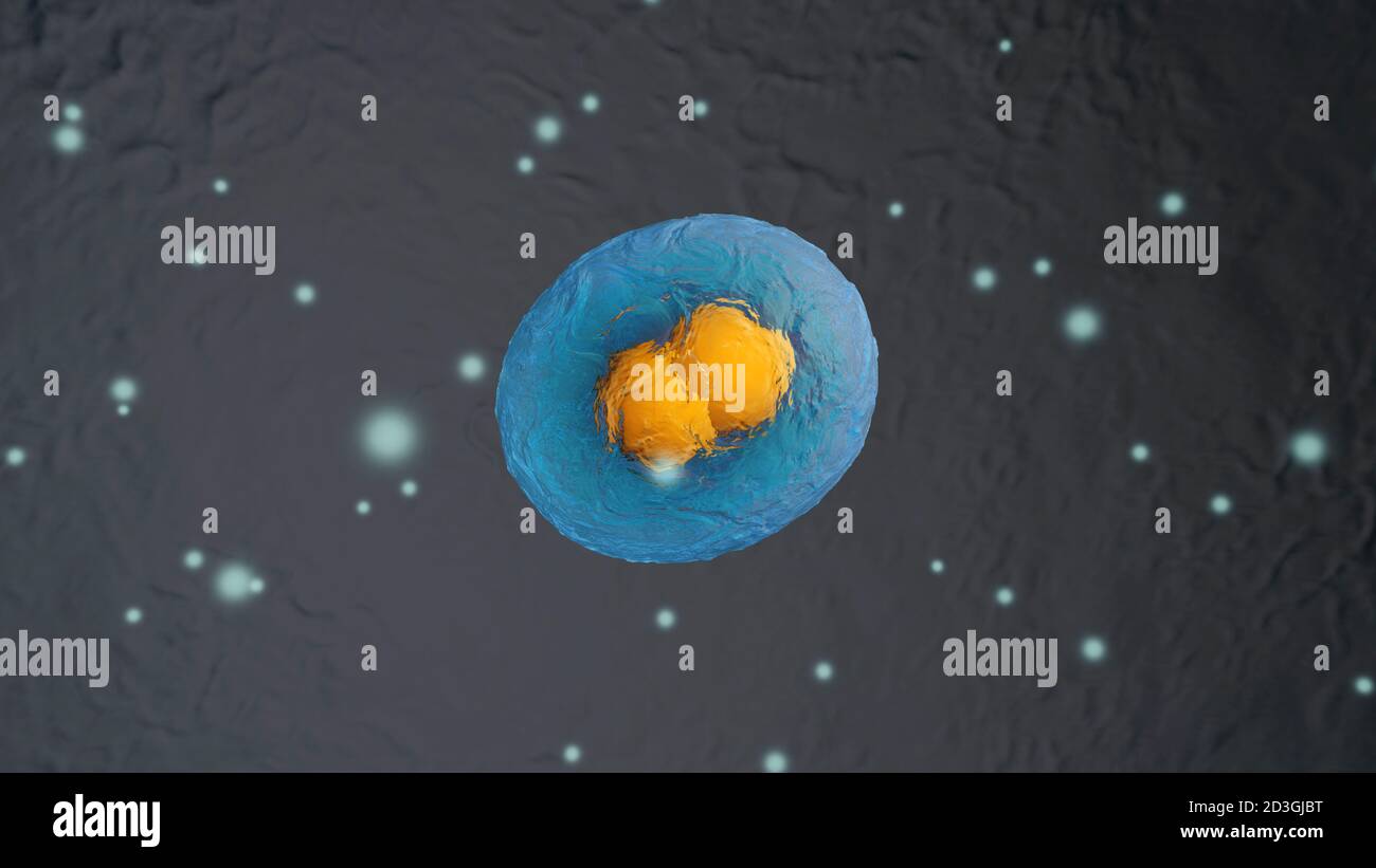3D Illustration of Mitosis or cell division of biological stem cells ...