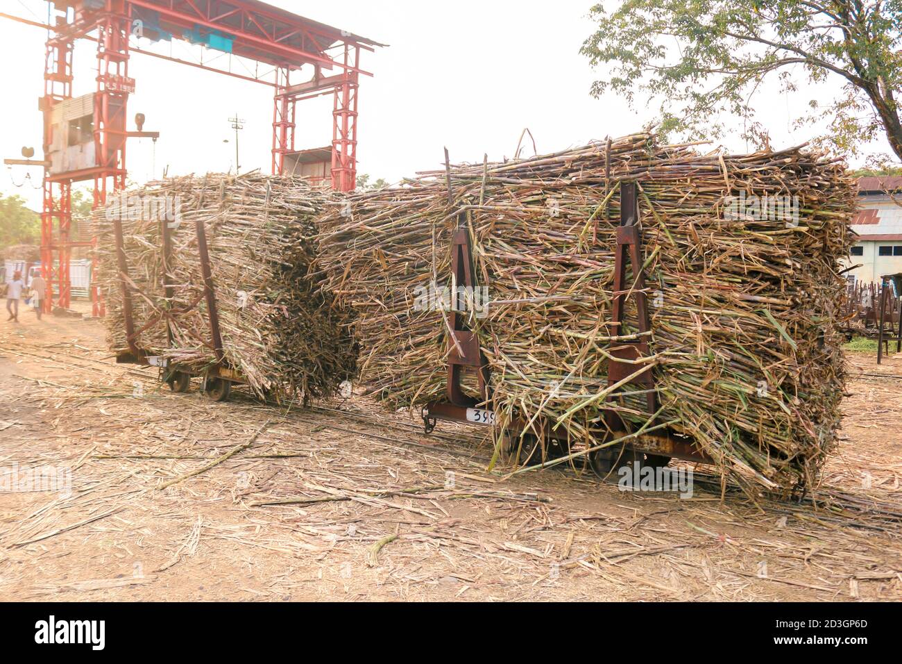 A steel old train loaded with freshly harvested sugarcane ready to transport to sugar factory in Solo, Indonesia. Stock Photo