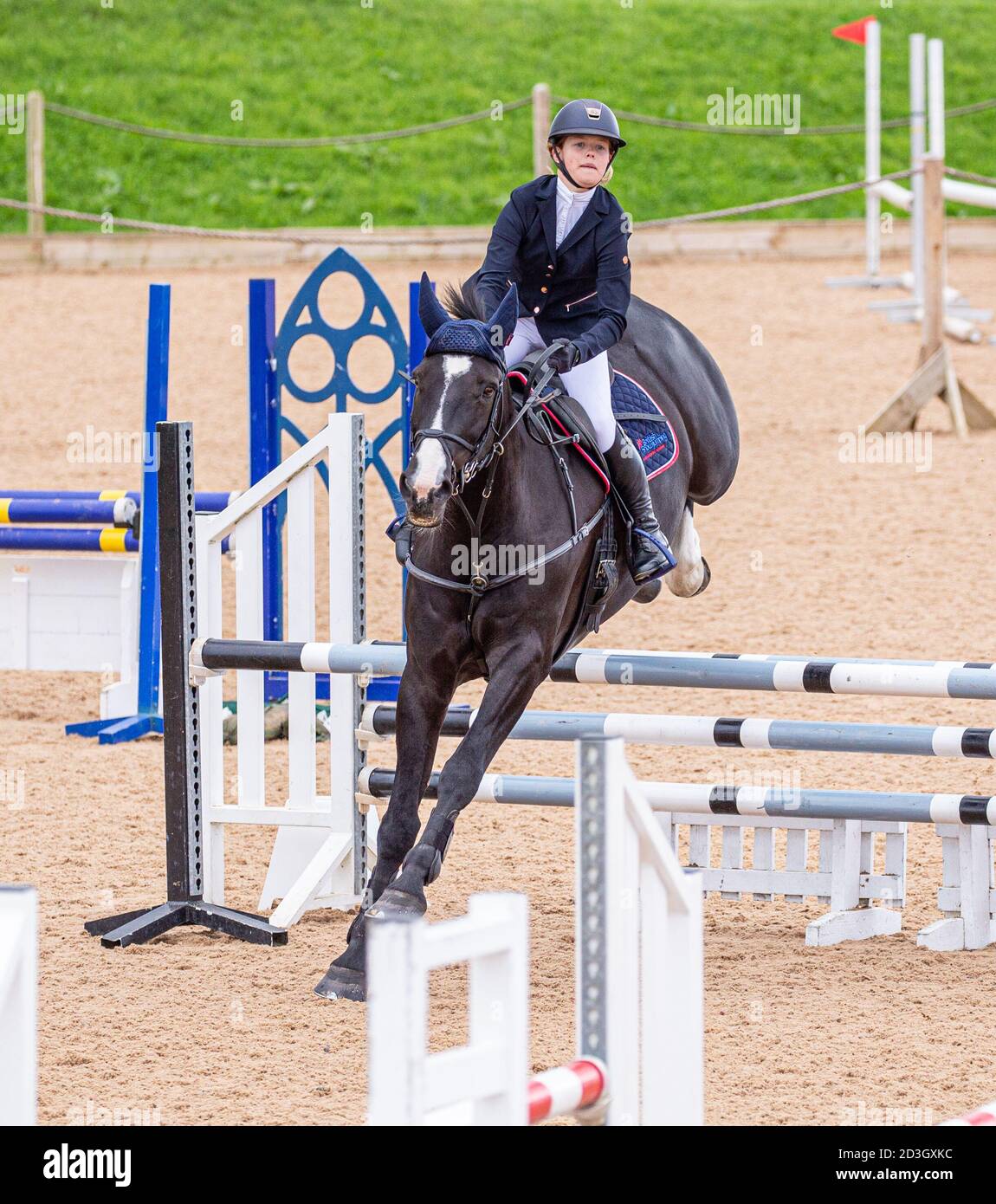 Horse riders competing in a showjumping competition Stock Photo Alamy