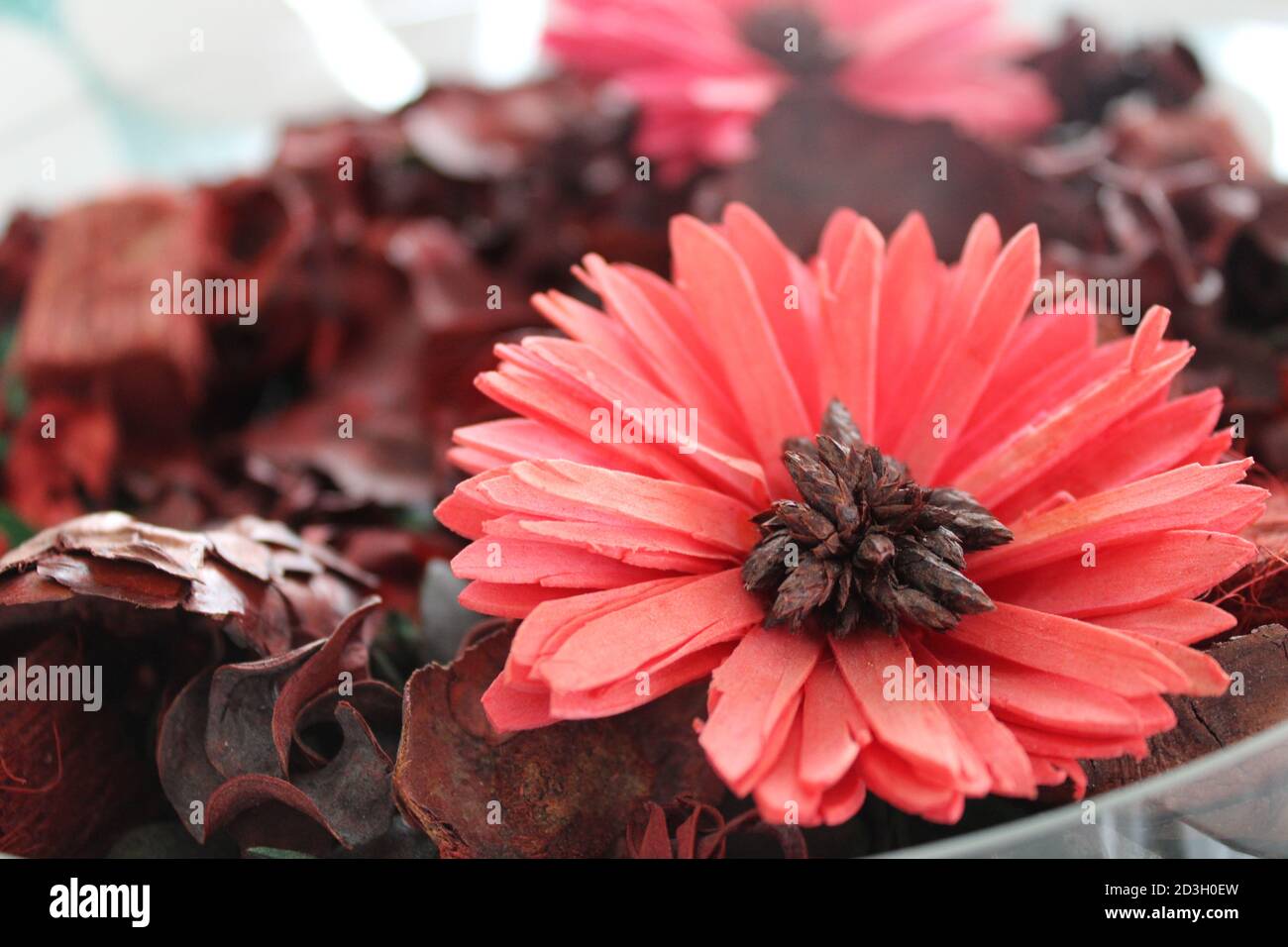 Still life macro photo hi-res stock photography and images - Alamy