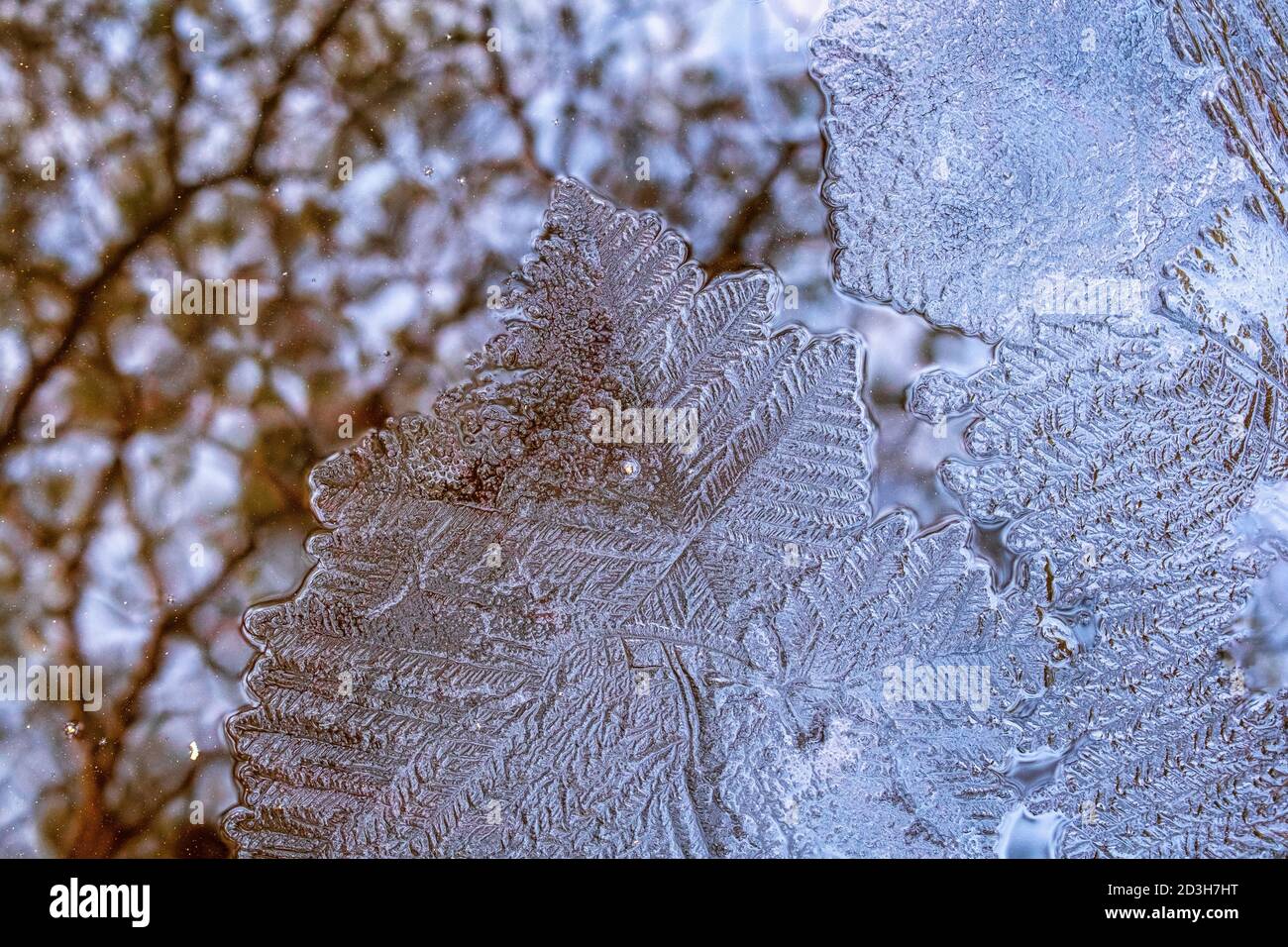 Beautiful ice crystals in the water Stock Photo - Alamy