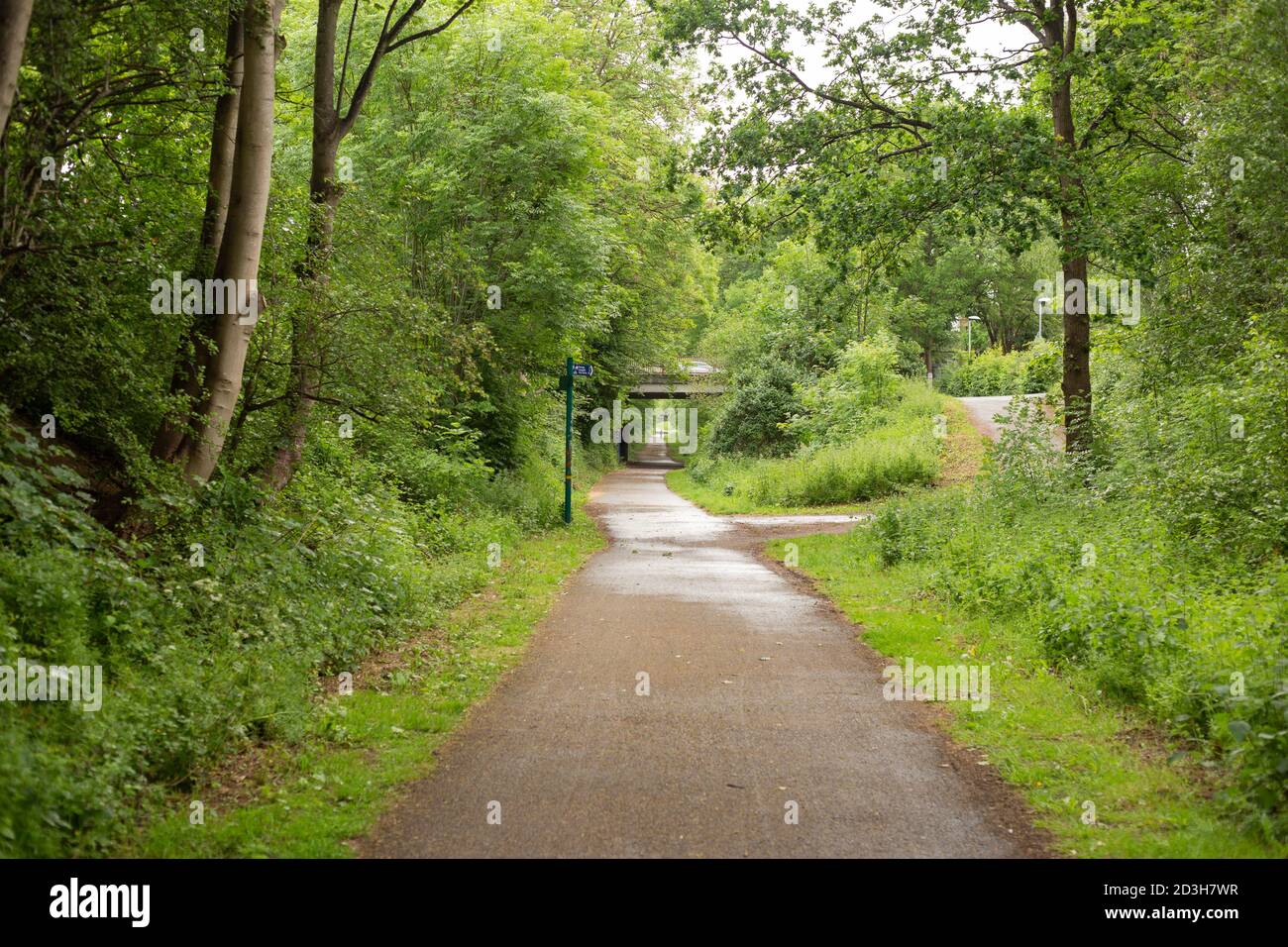 Green trees and grass along the fallowfield loop cycle line in Manchester. Section between Kingsway, Burnage Lane and Errwood Road. Ex railway line. Stock Photo