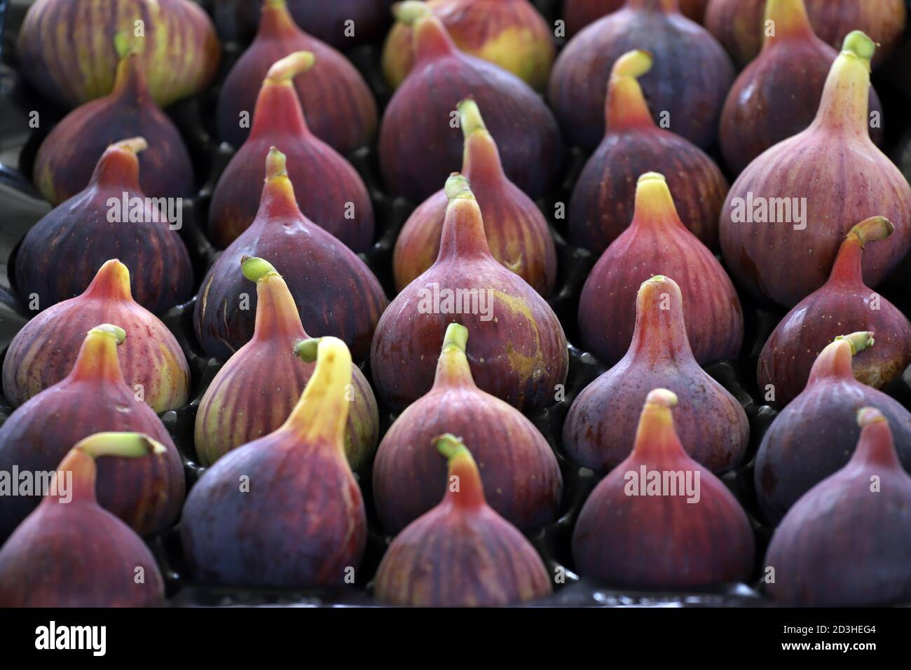 Colorful figs in line or pattern, on daylight. Selective focus. Stock Photo