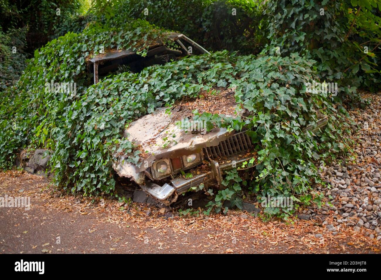 overgrown car, large old limousine, good symbol for rising electric vehicle popularity and environment protection Stock Photo