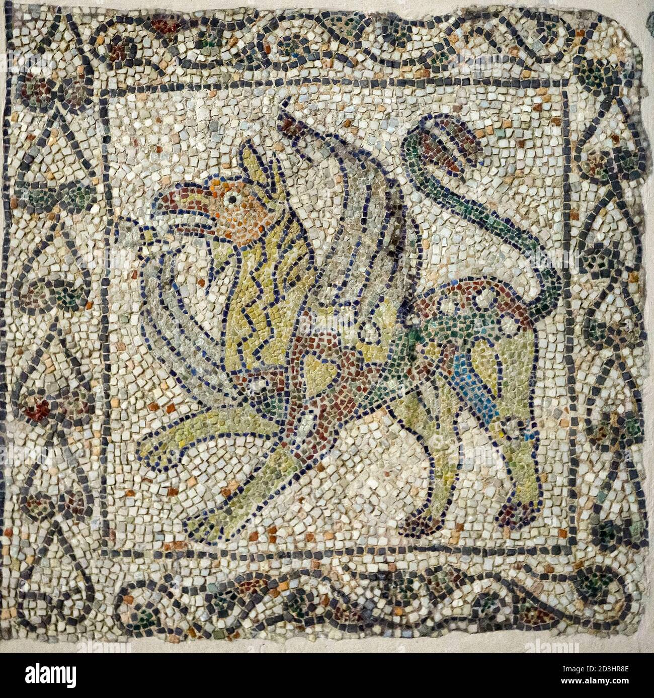 Italy Emilia Romagna Ravenna - Church of San Giovanni Evangelista - 5th century -   Medieval floor mosaic fragment (13th century): a fantastic animal. The griffin Stock Photo