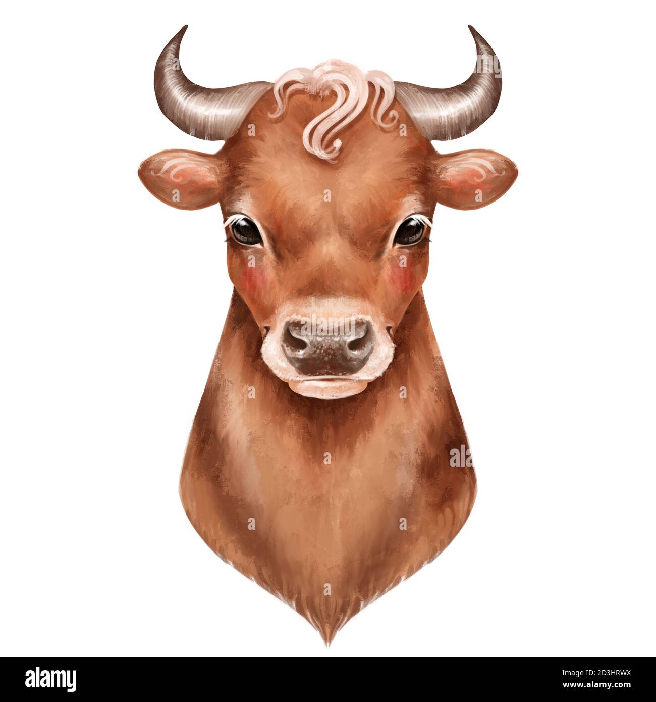 Cute llustration of Bull isolated on white background Stock Photo - Alamy
