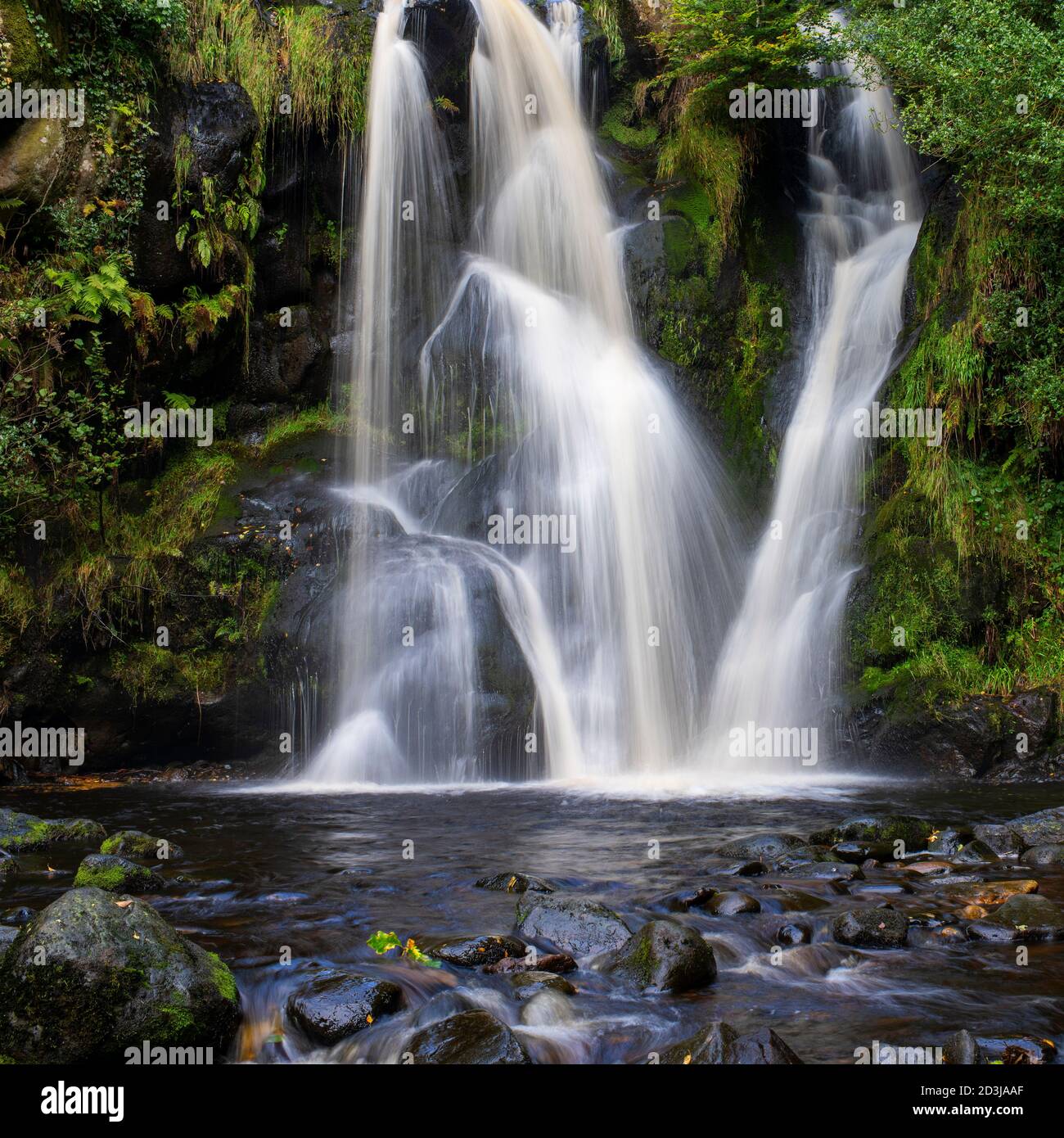 Falling water directed by gritstone rocks, Lower Posforth waterfall, Valley of Desolation, Yorkshire Dales, UK Stock Photo