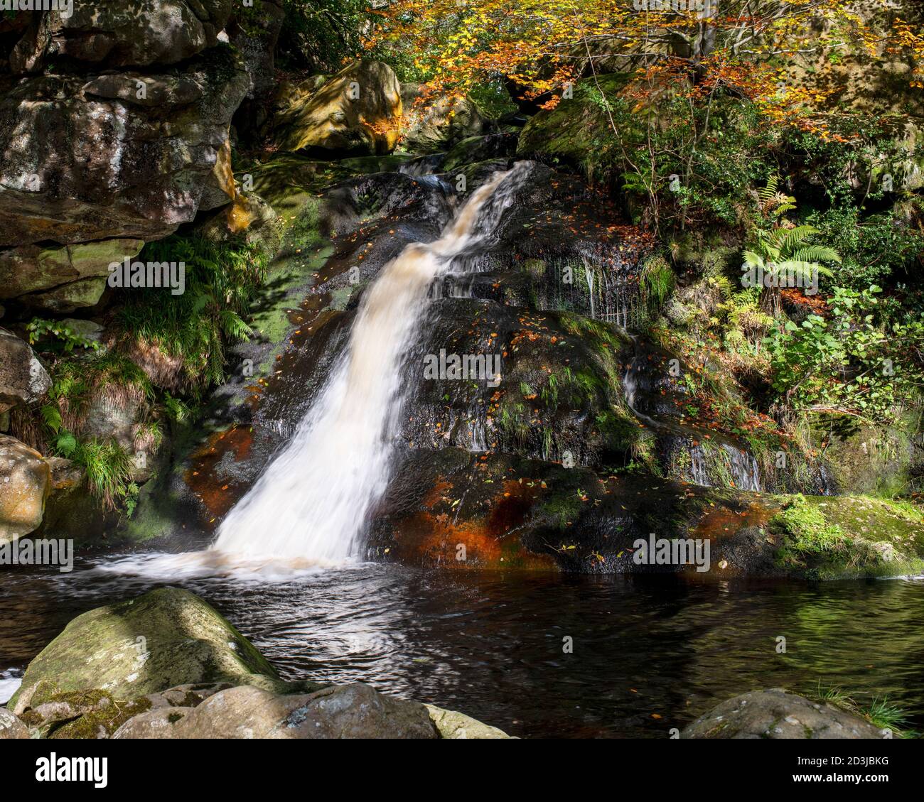 The sylvan setting of Upper Posforth Gill waterfall, Valley of Desolation, Yorkshire, UK Stock Photo