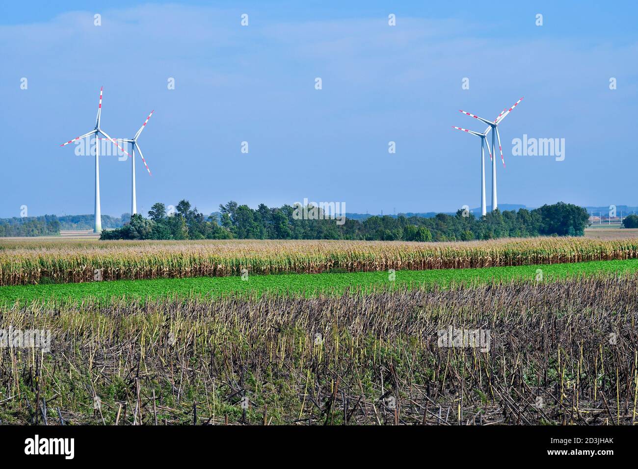 Austria, agricultural area with wind turbines for electricity