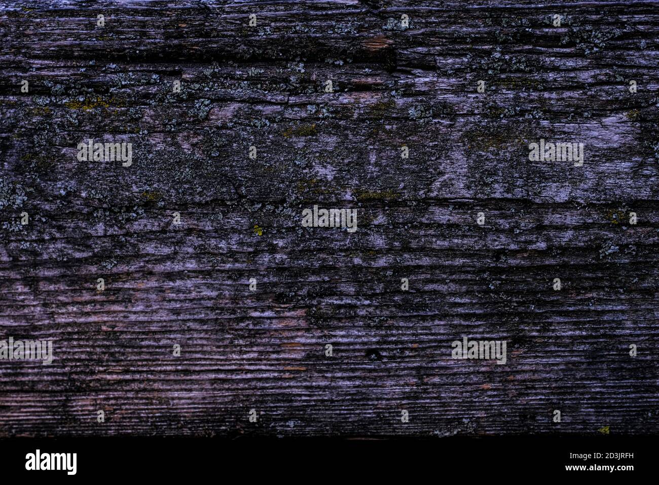 old wood nature texture, wood nature background. Stock Photo